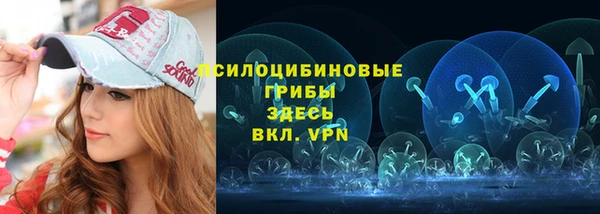 шишки Краснотурьинск