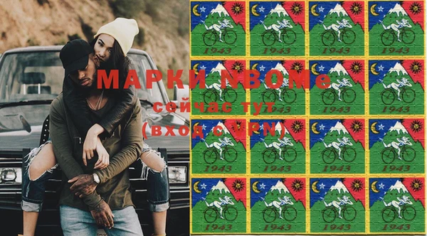шишки Краснотурьинск