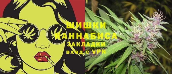 apvp Коряжма