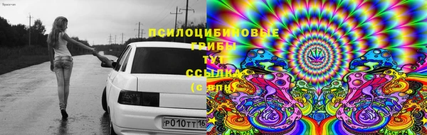 шишки Краснотурьинск